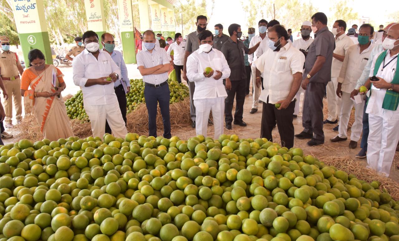 బత్తాయి, నిమ్మరైతులకు బాసట