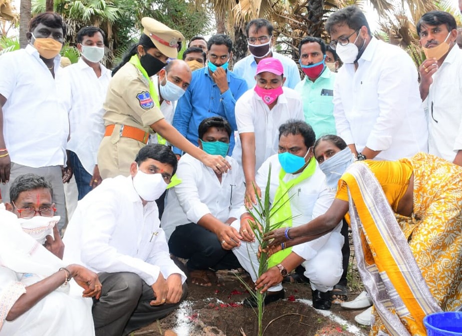 మొక్కలు నాటుతున్న ఎమ్మెల్యే రవిశంకర్​