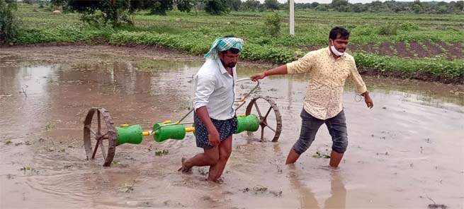 వెదజల్లే పద్ధతిలో అధిక లాభాలు